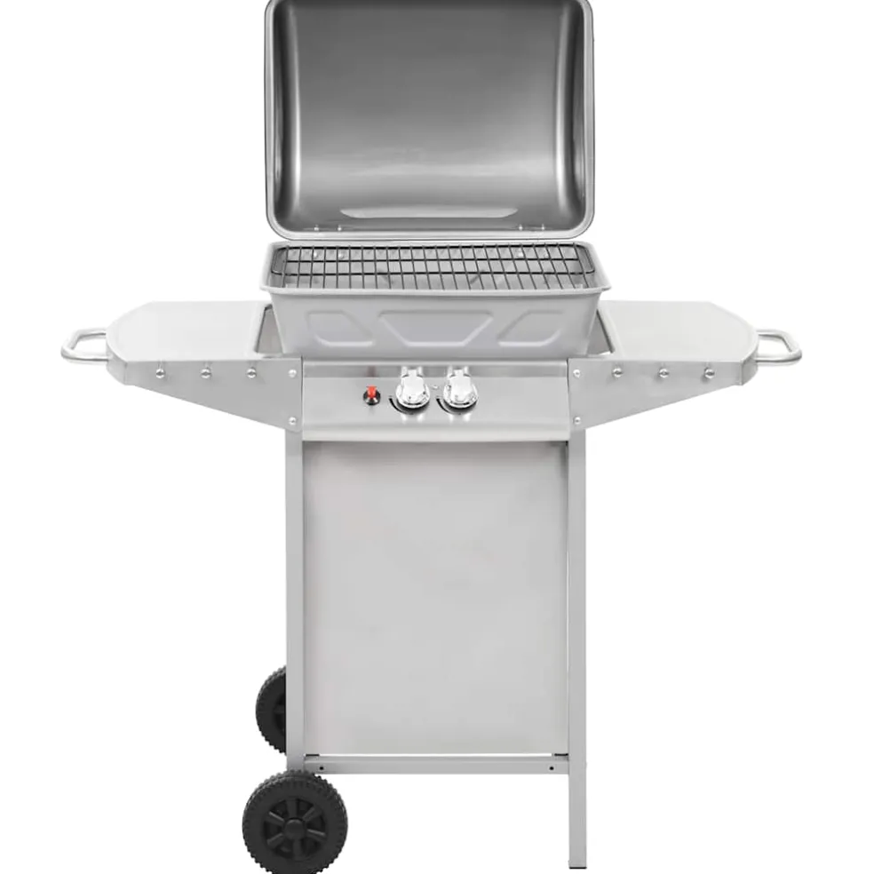 vidaXL Gasbarbecue en grill met 2 kookzones roestvrij staal zilver