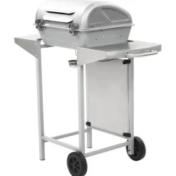 vidaXL Gasbarbecue en grill met 2 kookzones roestvrij staal zilver