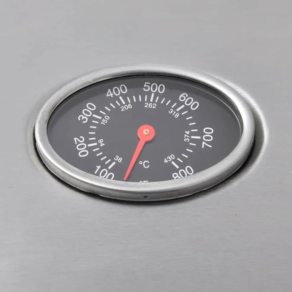 vidaXL Gasbarbecue 4+1 kookzone zilver