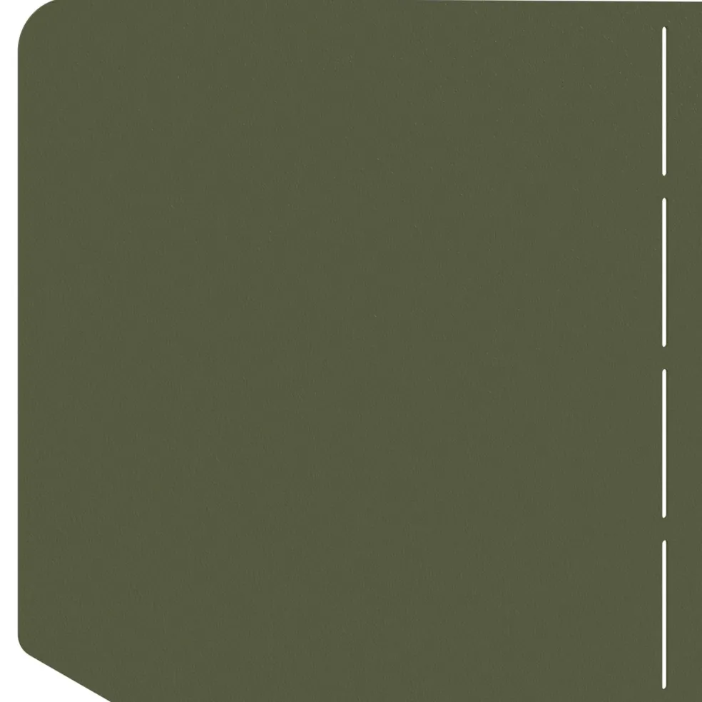 vidaXL Gazonrand 100 x 45 cm Staal Olijfgroen