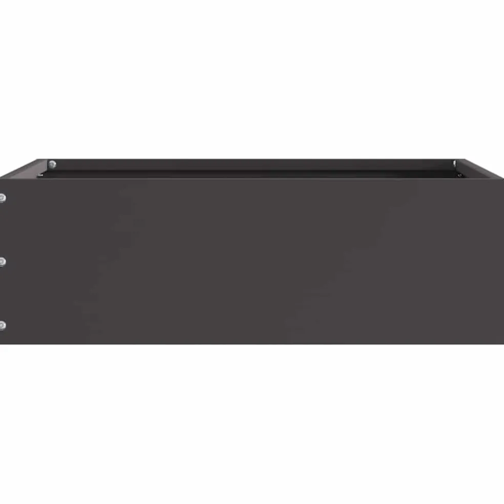 vidaXL Gazonrand 40 x 40 x 13 cm Staal Zwart