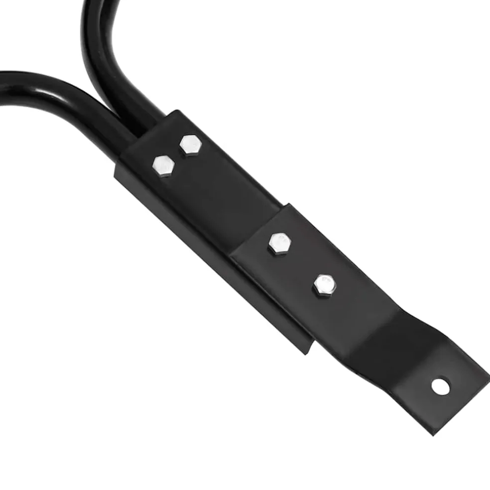 vidaXL Gazonroller duwmodel 63 L ijzer zwart