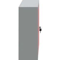 vidaXL Gereedschapskast met plank Zwart en Grijs 50 x 20 x 55 cm Staal