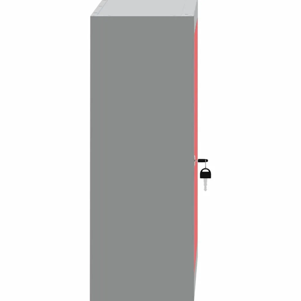 vidaXL Gereedschapskast met plank Rood en Grijs 50 x 20 x 55 cm Staal