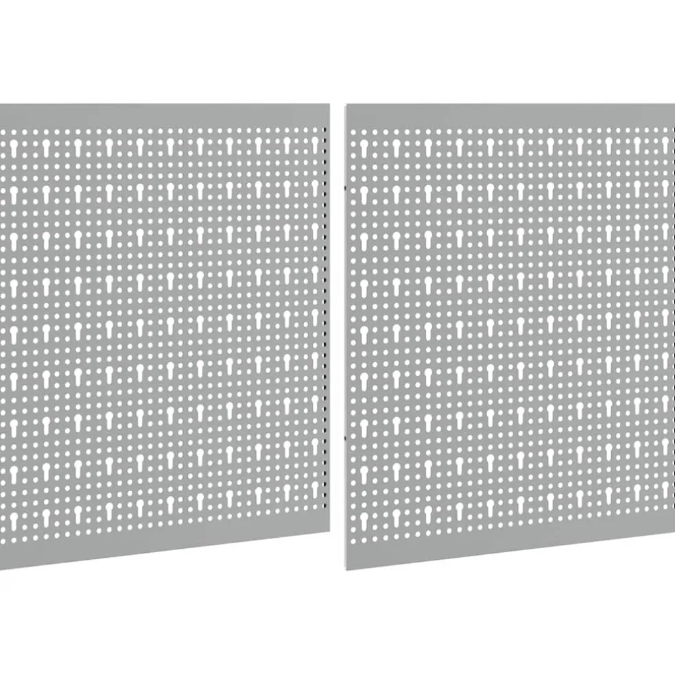 vidaXL Gereedschap Wandpaneel 2 st Grijs 100 x 1 x 60 cm Staal