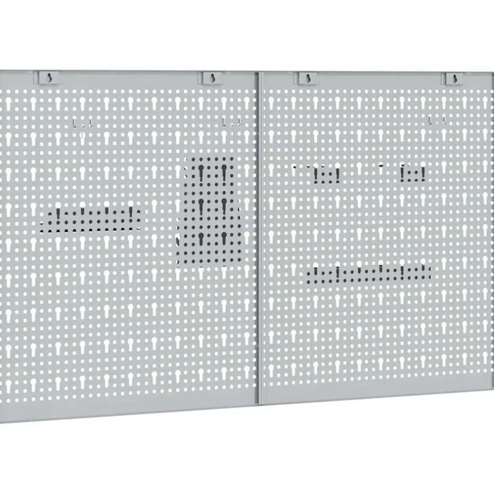 vidaXL Gereedschap Wandpaneel 2 st Grijs 100 x 1 x 60 cm Staal