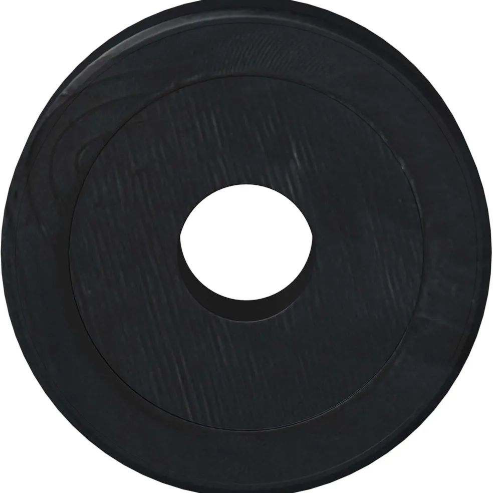 vidaXL geschikt voor vlakke ringen 2 st Zwart ∅15 x 3 mm
