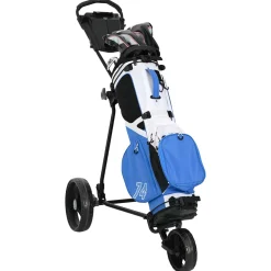 vidaXL Golf trolley Zwart IJzer Opvouwbaar