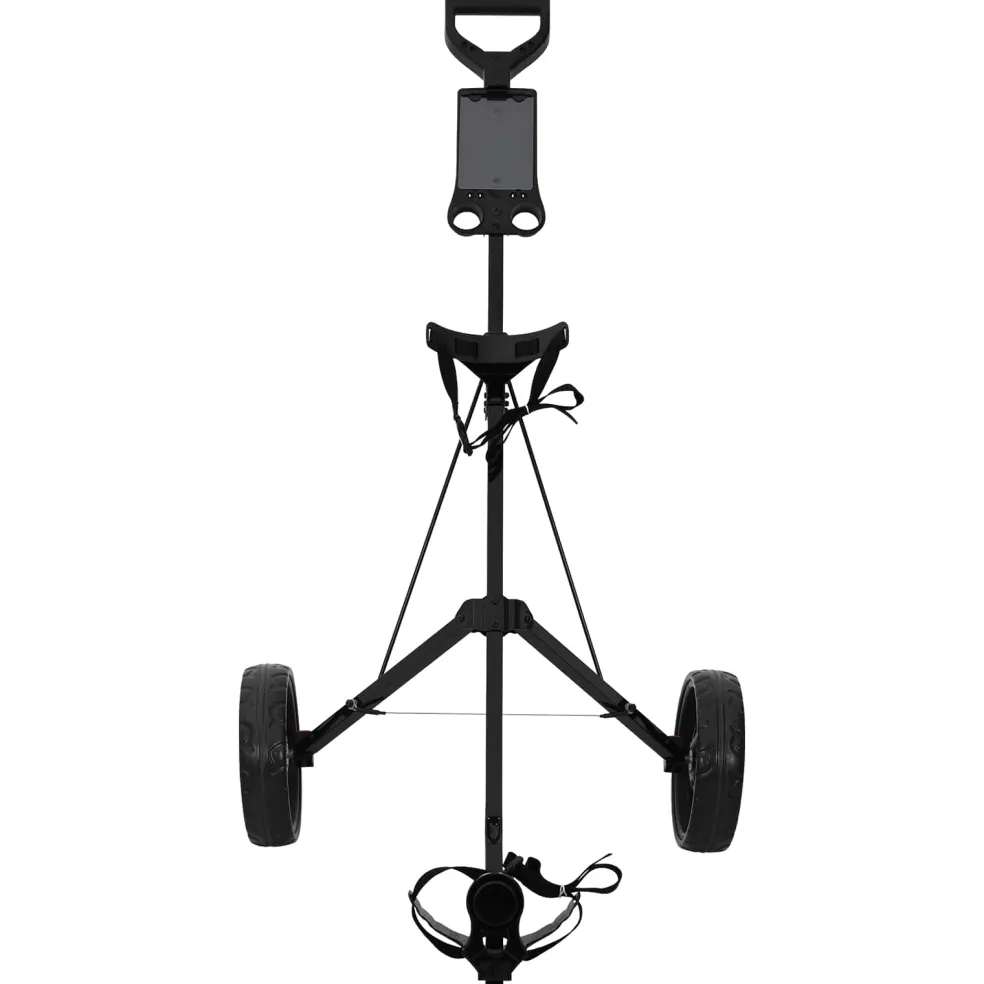 vidaXL Golf trolley Zwart IJzer Opvouwbaar