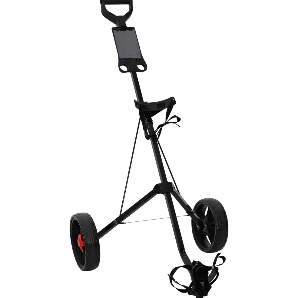 vidaXL Golf trolley Zwart IJzer Opvouwbaar