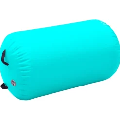 vidaXL Gymnastiekrol met pomp opblaasbaar 100x60 cm PVC groen