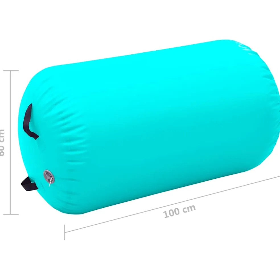 vidaXL Gymnastiekrol met pomp opblaasbaar 100x60 cm PVC groen