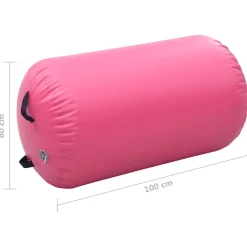 vidaXL Gymnastiekrol met pomp opblaasbaar 100x60 cm PVC roze