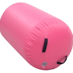vidaXL Gymnastiekrol met pomp opblaasbaar 100x60 cm PVC roze