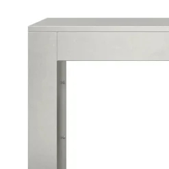 vidaXL Haardhoutrek 100x40x100 cm roestvrij staal