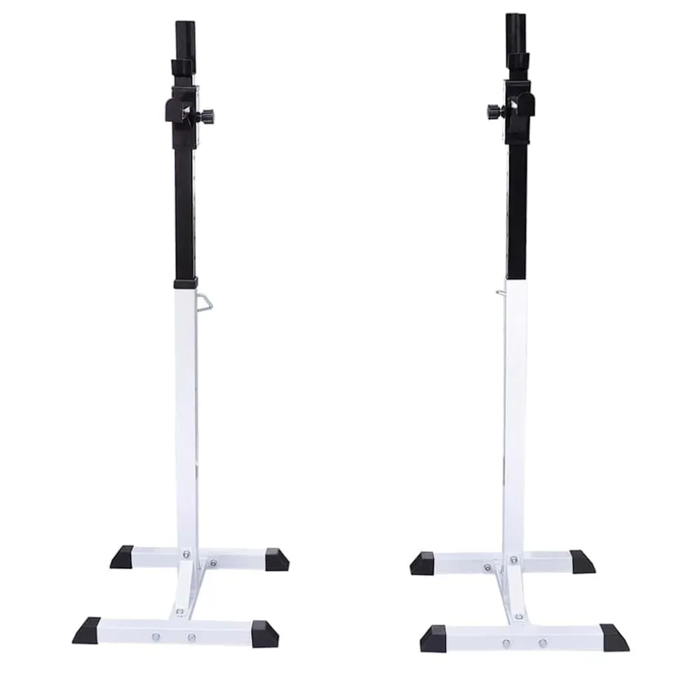 vidaXL Halter- en gewichtenstandaard