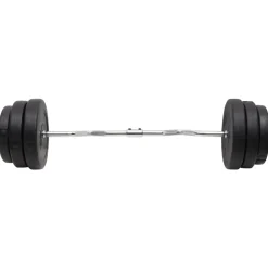 vidaXL Halter gebogen met gewichten 90 kg