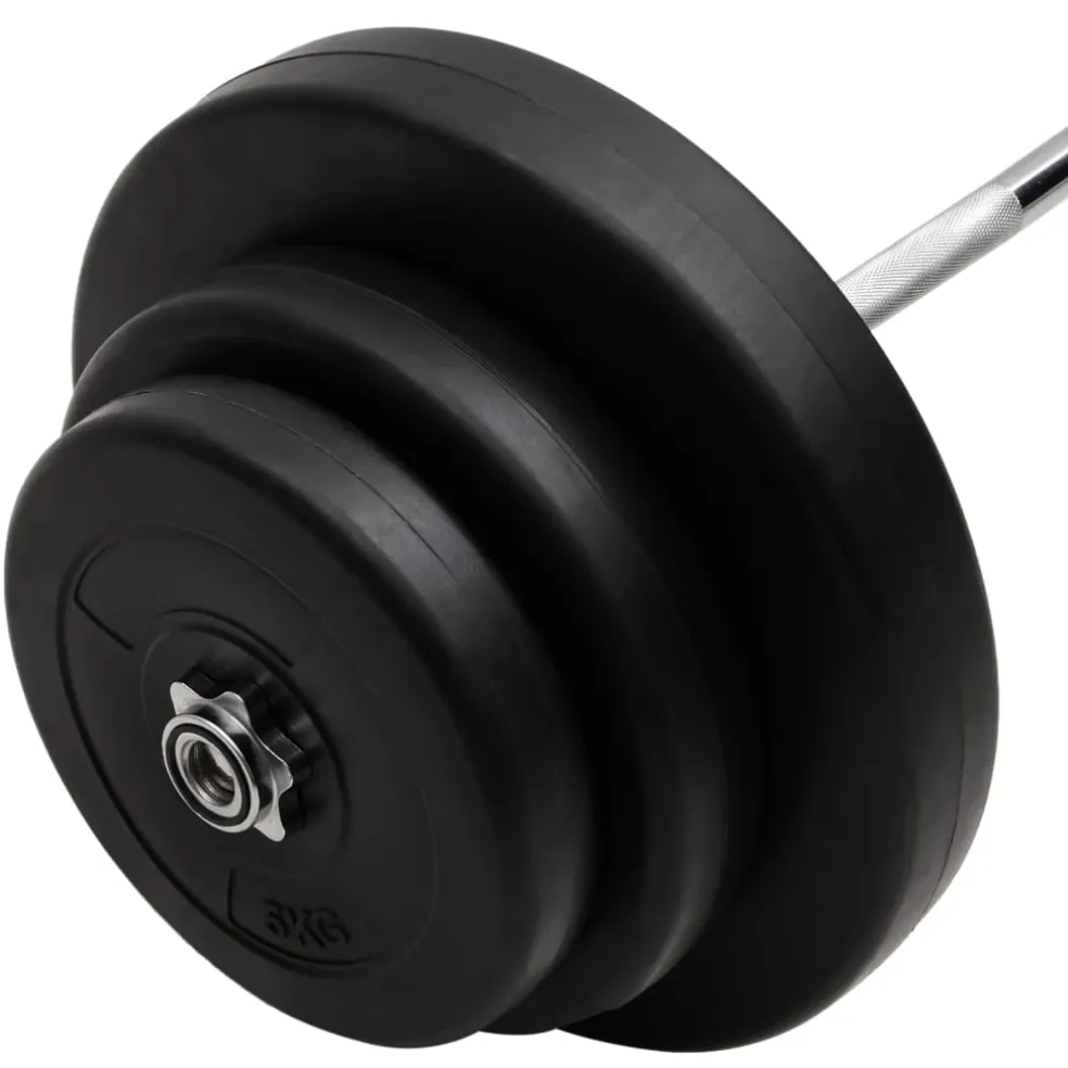 vidaXL Halter gebogen met gewichten 60 kg