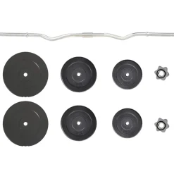 vidaXL Halter gebogen met gewichten 60 kg