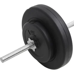 vidaXL Halter met gewichten 30 kg