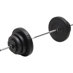 vidaXL Halter met gewichten 60 kg