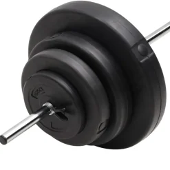 vidaXL Halter met gewichten 60 kg