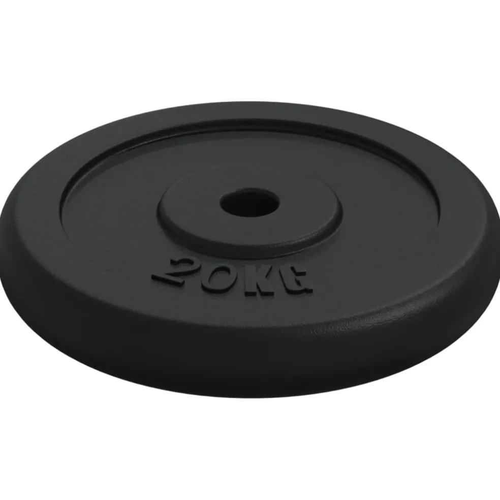 vidaXL Halterschijf 20 kg gietijzer