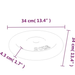 vidaXL Halterschijf 20 kg gietijzer