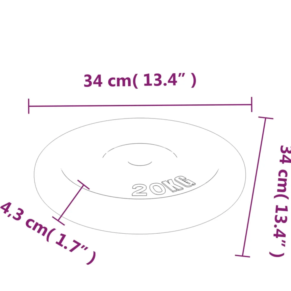vidaXL Halterschijf 20 kg gietijzer