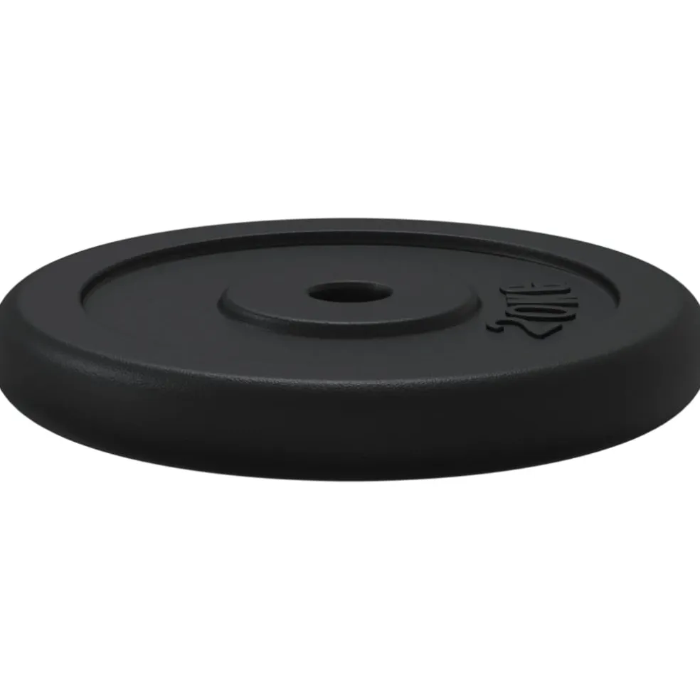 vidaXL Halterschijf 20 kg gietijzer
