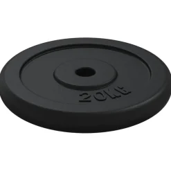 vidaXL Halterschijf 20 kg gietijzer