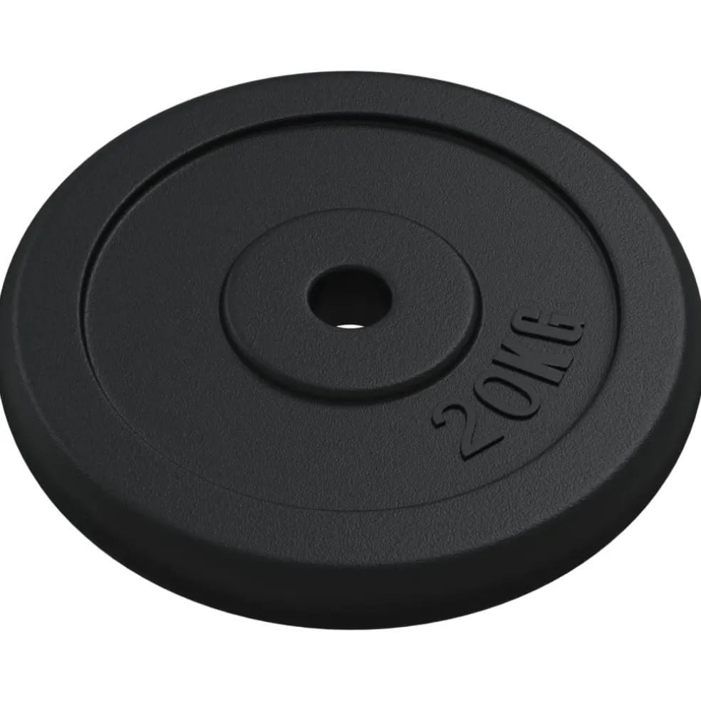 vidaXL Halterschijf 20 kg gietijzer