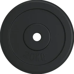 vidaXL Halterschijf 20 kg gietijzer