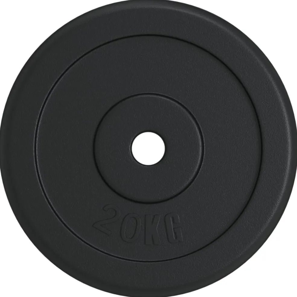 vidaXL Halterschijf 20 kg gietijzer