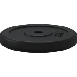 vidaXL Halterschijf 40 kg gietijzer