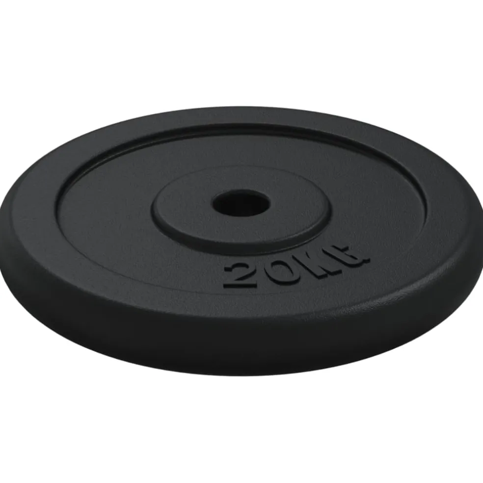vidaXL Halterschijf 40 kg gietijzer
