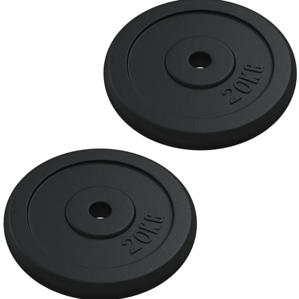 vidaXL Halterschijf 40 kg gietijzer