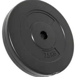 vidaXL Halterschijven 6 st 30 kg cement