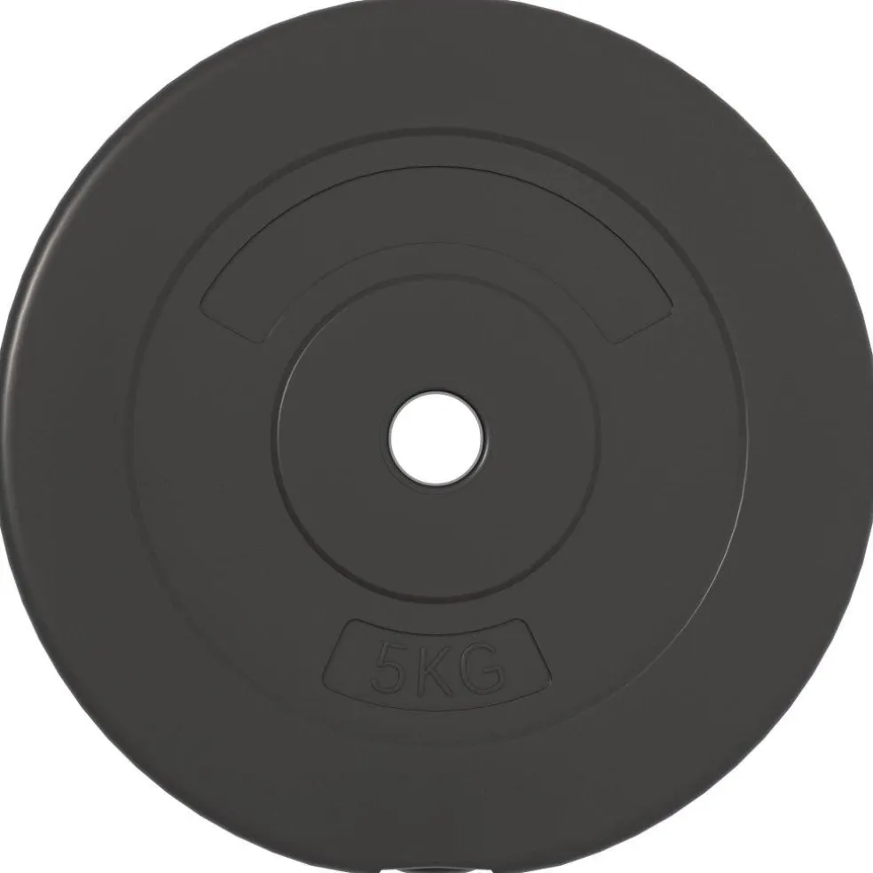 vidaXL Halterschijven 6 st 30 kg cement
