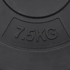 vidaXL Halterschijven 6 st 30 kg cement