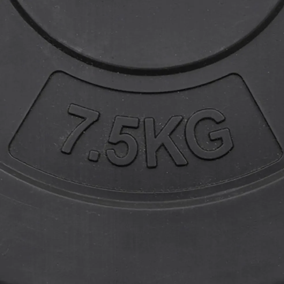 vidaXL Halterschijven 6 st 30 kg cement
