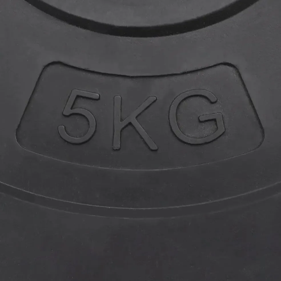 vidaXL Halterschijven 6 st 30 kg cement