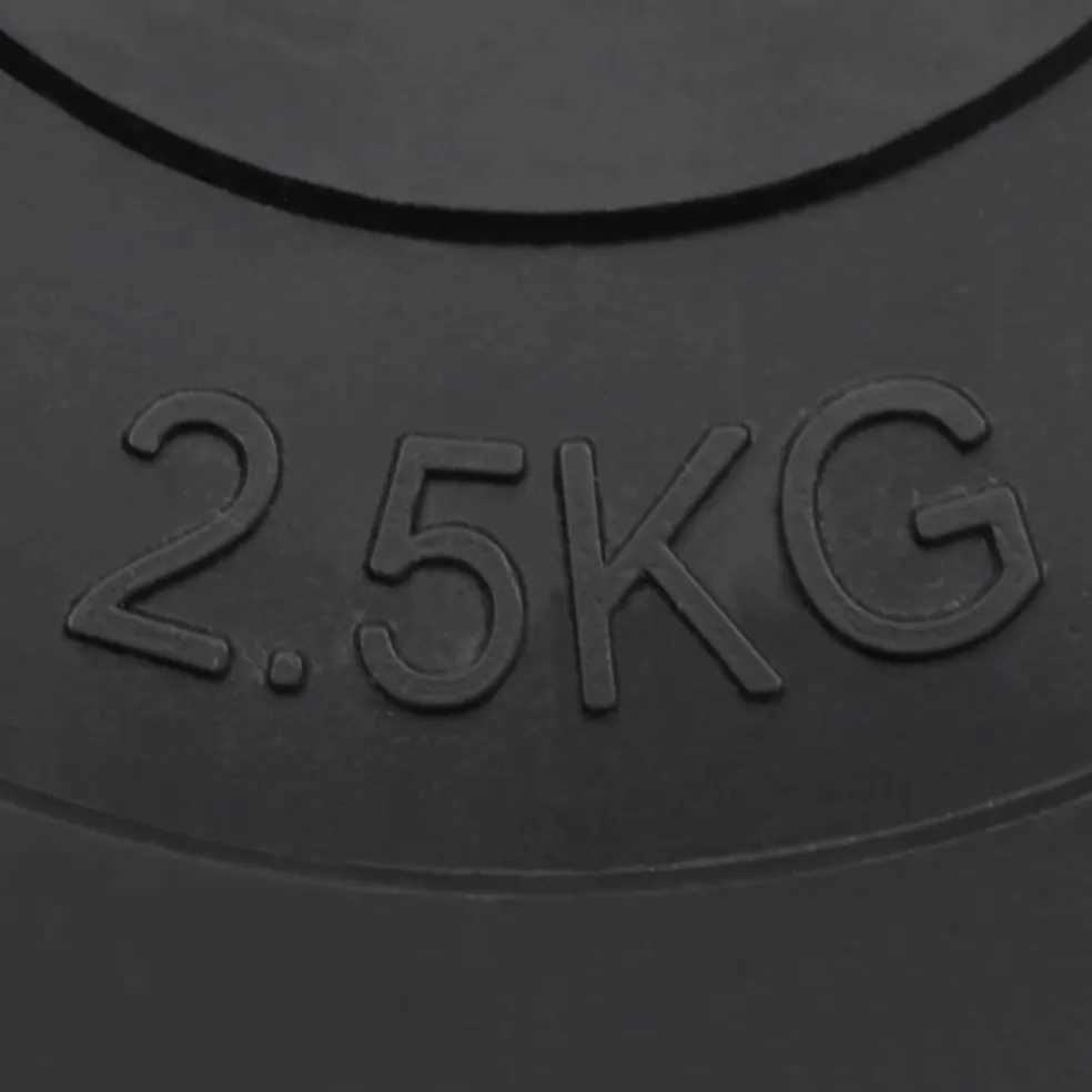 vidaXL Halterschijven 6 st 30 kg cement