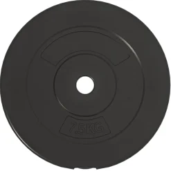 vidaXL Halterschijven 6 st 30 kg cement