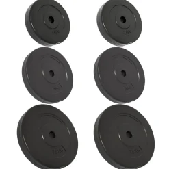 vidaXL Halterschijven 6 st 30 kg cement
