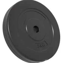vidaXL Halterschijven 6 st 30 kg cement