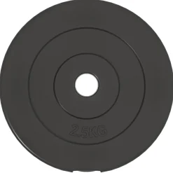 vidaXL Halterschijven 6 st 30 kg cement