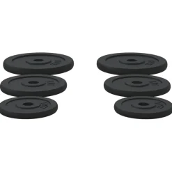 vidaXL Halterschijven 6 st 30 kg gietijzer