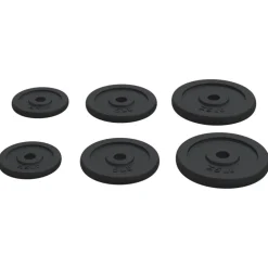 vidaXL Halterschijven 6 st 30 kg gietijzer