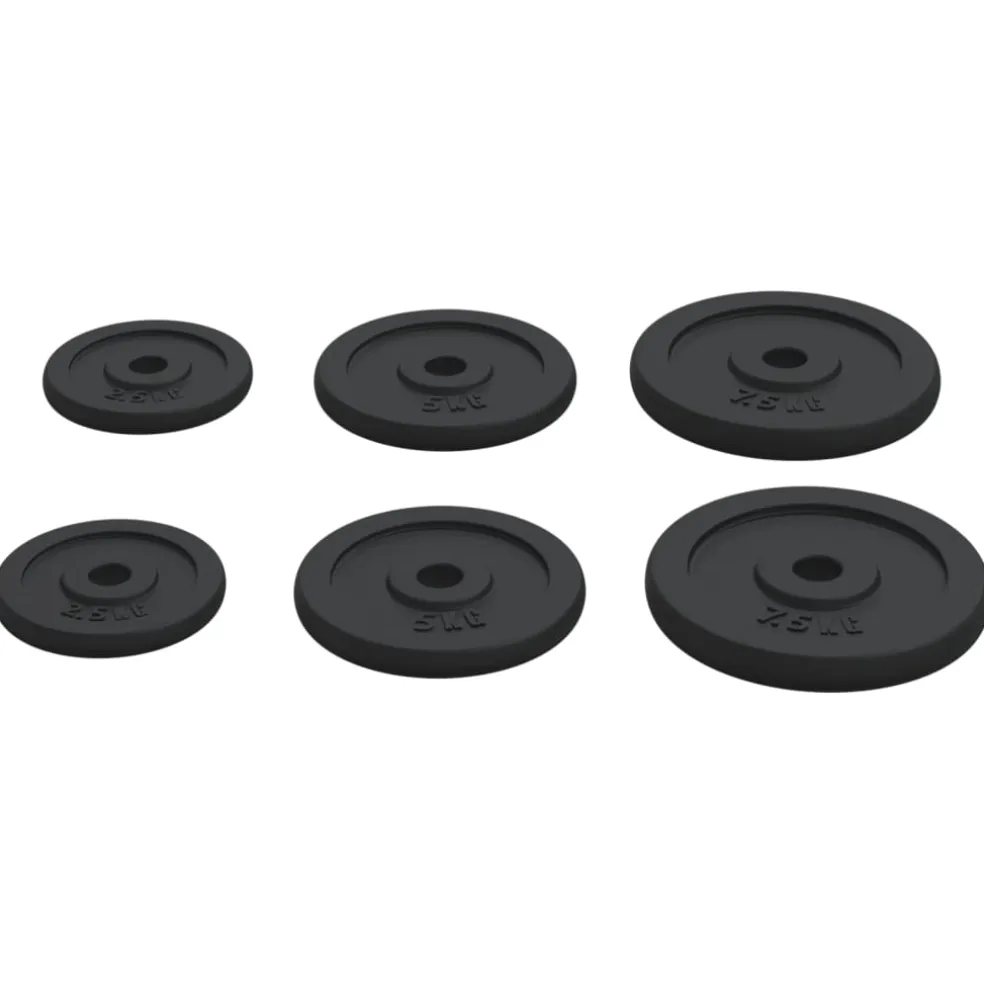 vidaXL Halterschijven 6 st 30 kg gietijzer